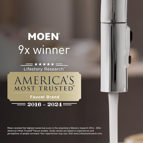 Moen Sage Vanity Shelf