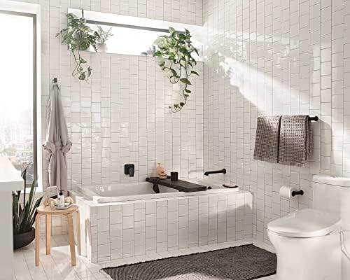 Moen Genta LX Toilet Paper Holder Modern Wall Mount with Matte Black Finish