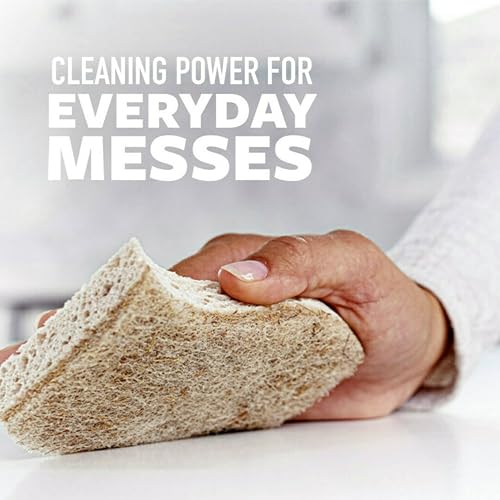 Scotch-Brite Greener Clean Non-Scratch Scrub Sponge Set 6 pack