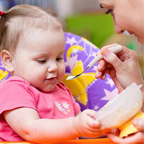 Kirecoo Toddler Flatware Set 2PCS BPA Free Stainless Steel